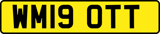WM19OTT