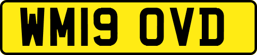 WM19OVD