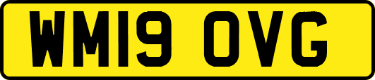 WM19OVG