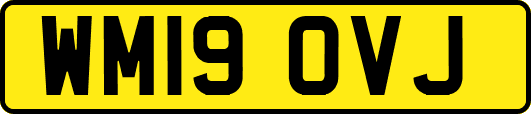WM19OVJ