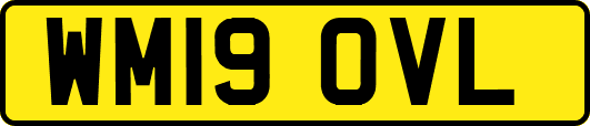 WM19OVL