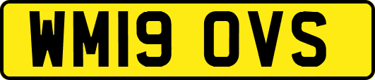 WM19OVS
