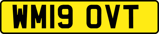 WM19OVT