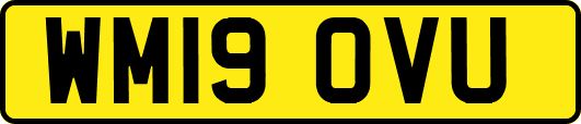 WM19OVU