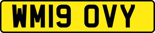 WM19OVY