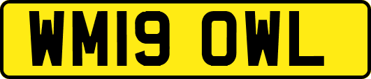 WM19OWL