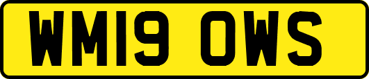WM19OWS