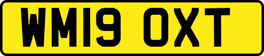 WM19OXT