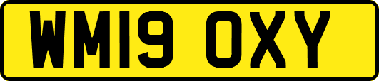 WM19OXY