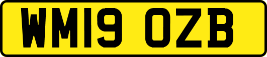 WM19OZB