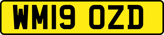 WM19OZD