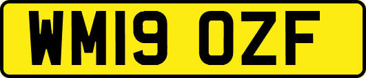 WM19OZF