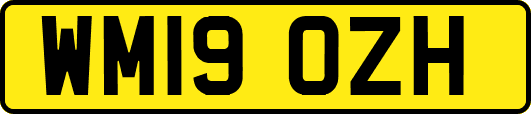 WM19OZH