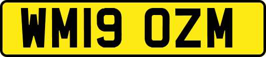 WM19OZM
