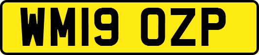 WM19OZP