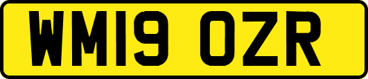 WM19OZR