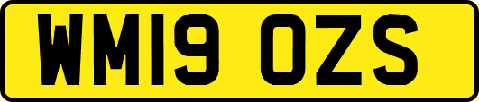 WM19OZS