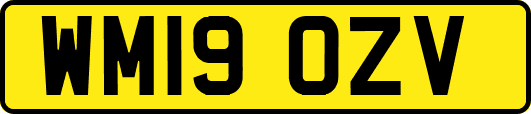 WM19OZV