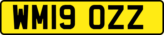 WM19OZZ