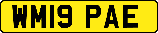 WM19PAE