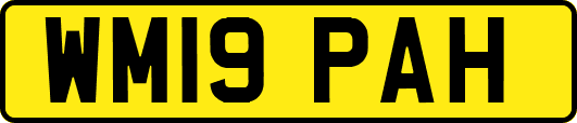 WM19PAH