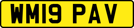 WM19PAV