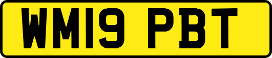 WM19PBT