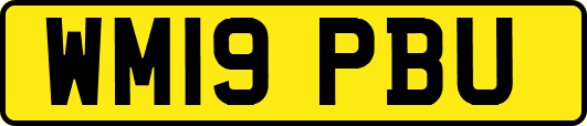 WM19PBU