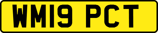 WM19PCT