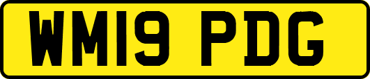 WM19PDG