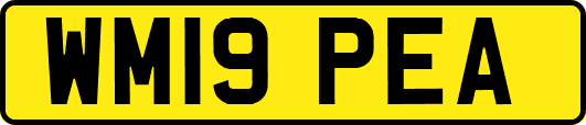 WM19PEA