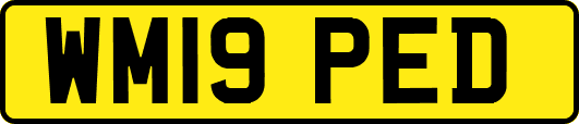 WM19PED