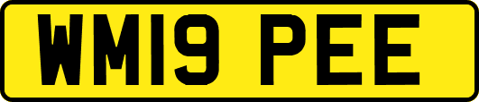 WM19PEE
