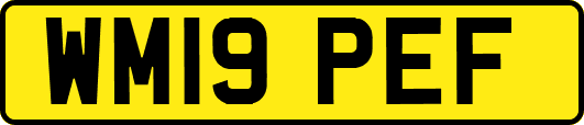 WM19PEF