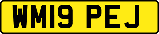 WM19PEJ