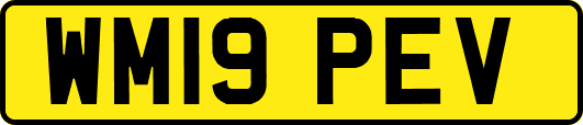 WM19PEV