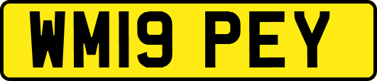 WM19PEY