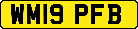 WM19PFB
