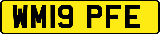 WM19PFE