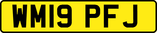 WM19PFJ