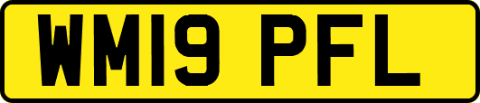 WM19PFL
