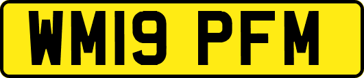 WM19PFM