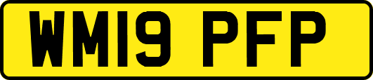 WM19PFP