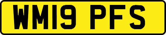 WM19PFS