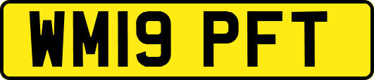 WM19PFT