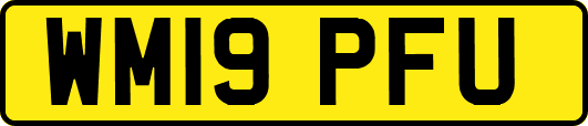 WM19PFU