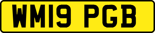 WM19PGB