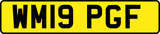 WM19PGF
