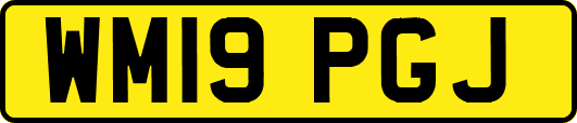 WM19PGJ