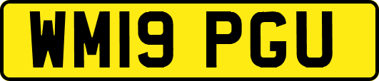 WM19PGU